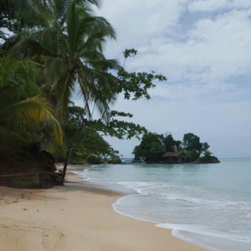 plage, Bastimentos Caribean Hotel in Bastimentos