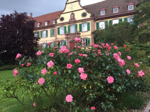 Létesítmények, Haus Gisela in Endingen am Kaiserstuhl