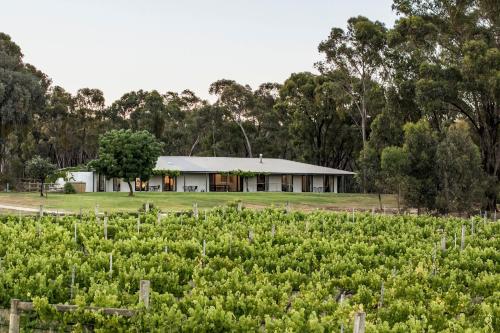 Solterra & Vine Estate Accommodation Bendigo - Huntly