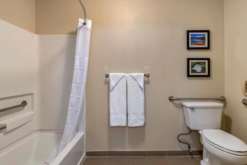 Comfort Inn Columbia Gorge - main image