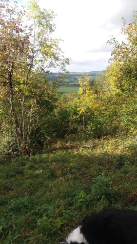 Plumtree House - image 14