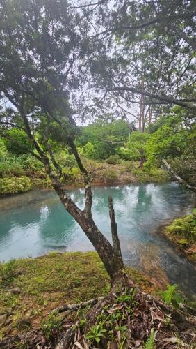 Surrounding environment, Nadarivatu Homestay Fiji in Ba