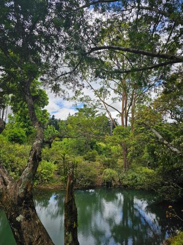 Surrounding environment, Nadarivatu Homestay Fiji in Ba