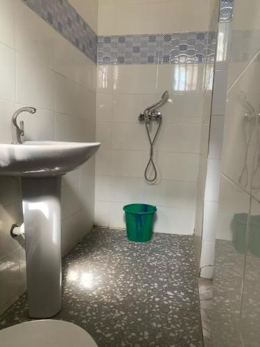 The Minimalist in Ogijo