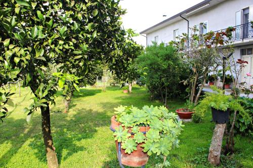 Il Moro Bianco - Accommodation - Teano