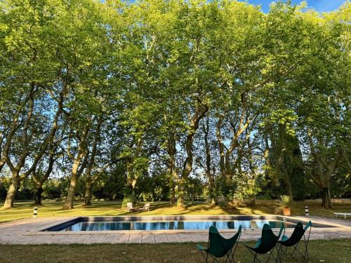 Swimming pool, Le Pavillon Du Regisseur in Montlaur