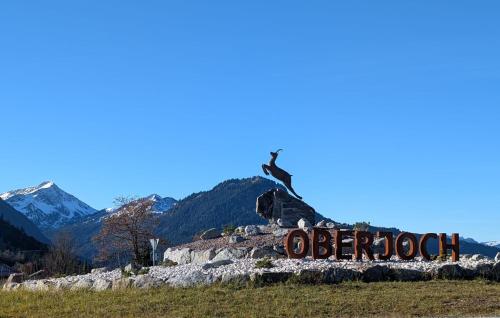 Spatz am Joch in Oberjoch, Deutschland