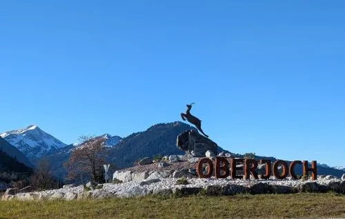Spatz am Joch in Oberjoch, Deutschland