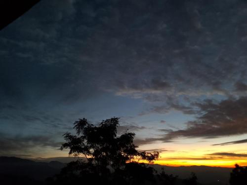 Pahadi aangan in Almora