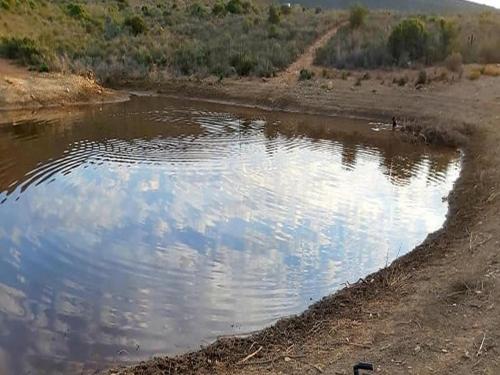 Protea Bush Lodge, Barrydale (fotografie 9)