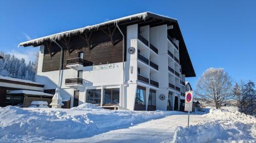 Apartmán Almberg - Mitterdorf - Mitterfirmiansrout in Philippsreut, Deutschland