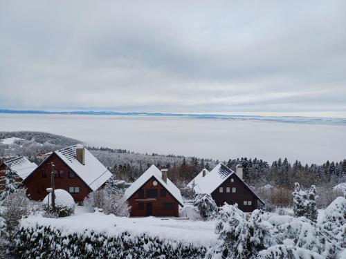 Kilátás, Chalet Bear in Thollon-les-Memises