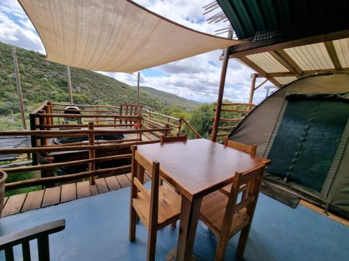 Protea Bush Lodge, Barrydale (fotografie 7)