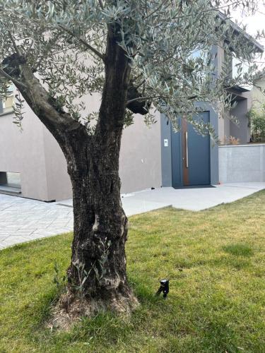 Singella24 chambre d'hôte Bema