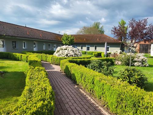 06 Grashüpfer - Hof Wiesengrund, Parchtitz (zdjęcie 7)