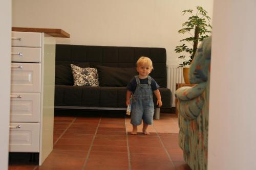 Hupfmühle Pension - image 14