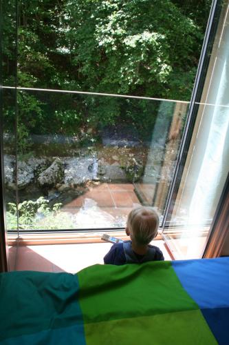 Hupfmühle Pension - image 5