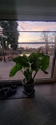Udsigt, Ferienhaus Ammersee Traum von Bett und Terrasse in Herrsching am Ammersee