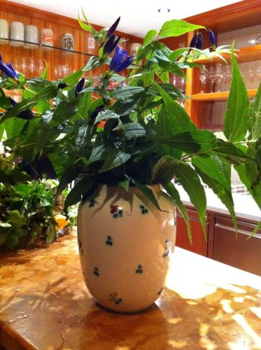 Hupfmühle Pension - image 11