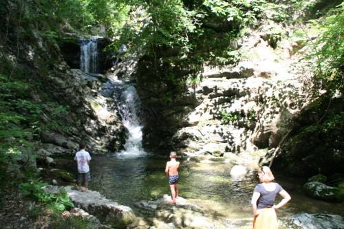 Hupfmühle Pension - image 9