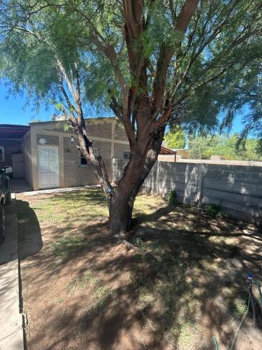 Los Girasoles in 聖馬丁將軍鎮