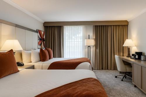 2 queen beds