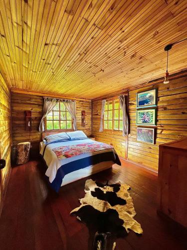 Palmas de Cocora - Salento