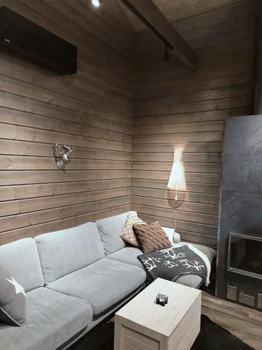 Holiday cottage Villa Tervas-Kanto in Yllasjarvi in Palovaara