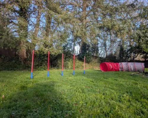 La Martine Petfriendly in Isigny-sur-Mer