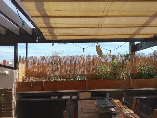 Green Roof Top
