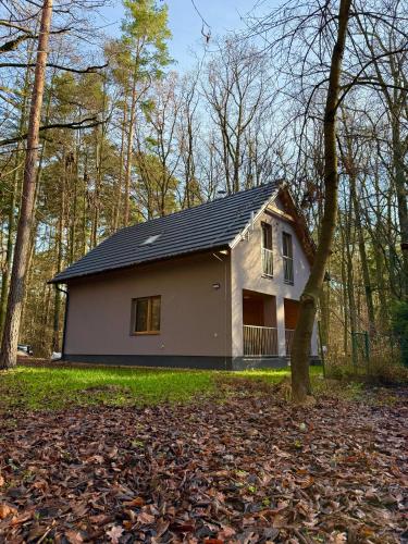 Forest House Buxusson in Lišov