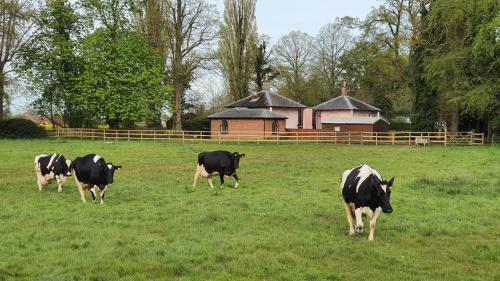 Iekārtas, 1 Bed in Wymondham oc-w30597 in Wicklewood