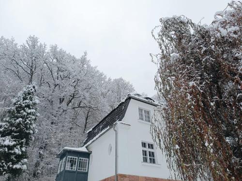 Accommodation in Lwówek Śląski County