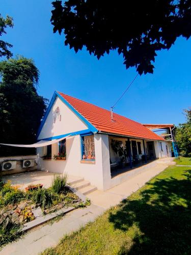 Garden, Blue Forest Retreat in Mánfa