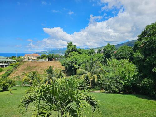 Garden, Modern 2-bedroom Apartment near Roseau in Canefield