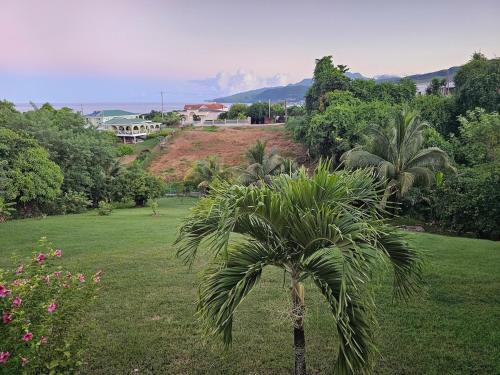 Surrounding environment, Modern 2-bedroom Apartment near Roseau in Canefield