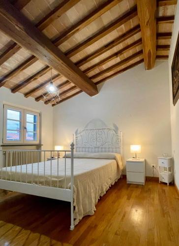 La Casa di Angy - 20 min da Lucca nel verde gîte à louer Chiesina Uzzanese