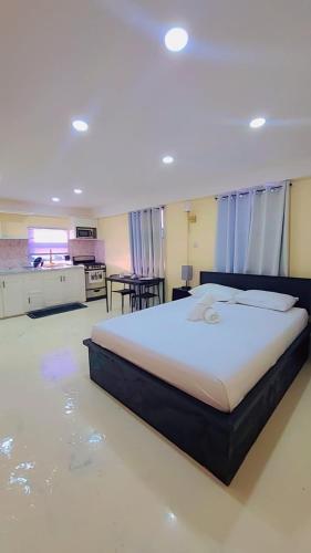 Oceanview Suites in St Georges