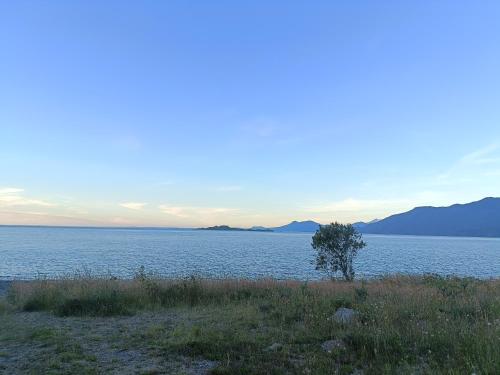pludmale, Cabaña Mañihueico (Cabana Manihueico) in Contao