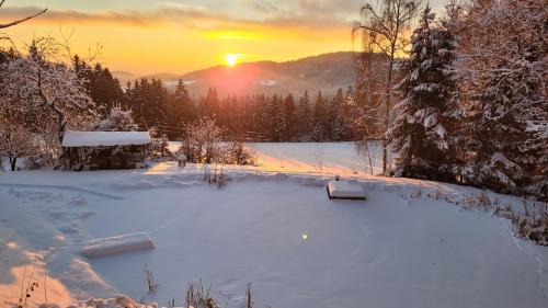 منظر, Ferienwohnung Waldidyll in Haibach