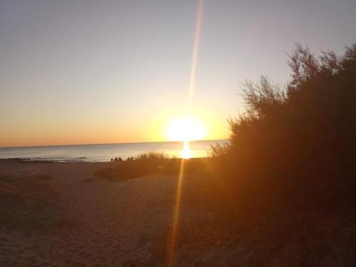Cabaña en Playa Verde