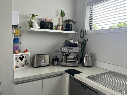 Warm Home in Hobsonville in 賀生維爾