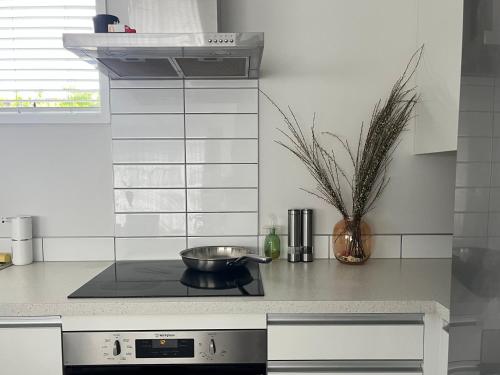 Warm Home in Hobsonville in 賀生維爾