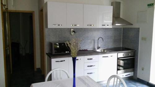 Konyha, Apartments Vukovic in Stari Grad