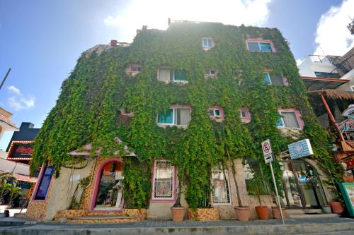 Casa Delfin