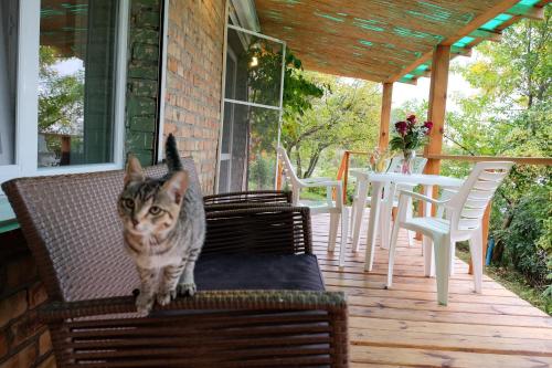 Erkély/terasz, Hotel Black Cube in Trypillya