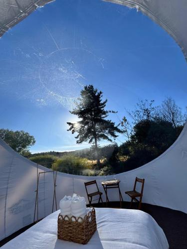 Hotel Cielo Stellato in Kapitan Pastene