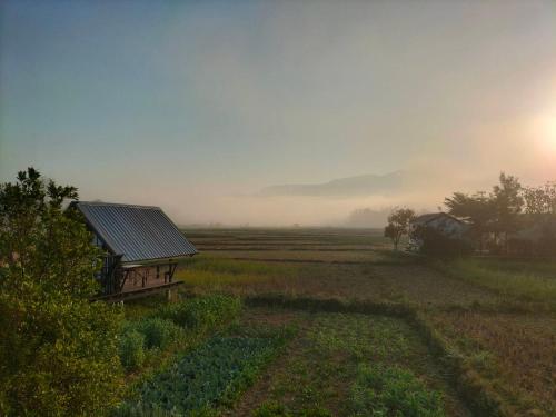 Surrounding environment, Ricefield Homestay มองนาภูคาน่านโฮมสเตย์ in Tha Wang Pha