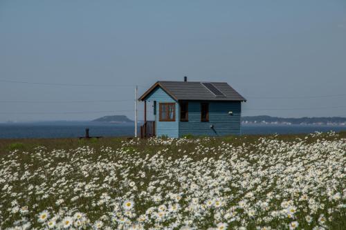 Domaine Floravie