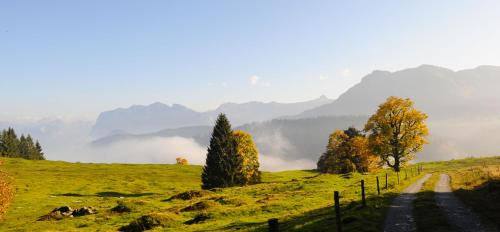 Hirschen Schwarzenberg Bregenzerwald